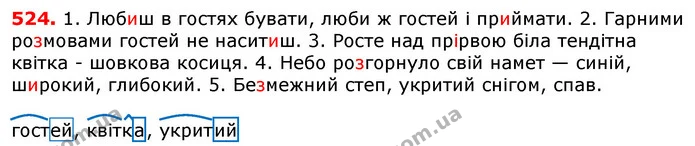ГДЗ Українська мова 5 клас Єрмоленко 2018 — ГДЗ Українська мова 5 клас Єрмоленко 2018