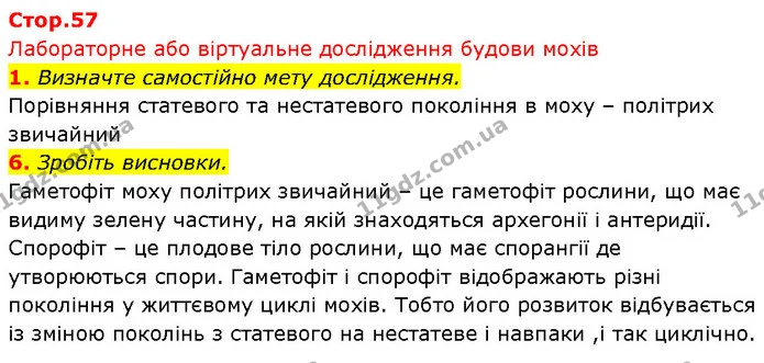 1. Визначте самостійно мету дослідження. — ГДЗ Біологія 7 клас Тагліна
