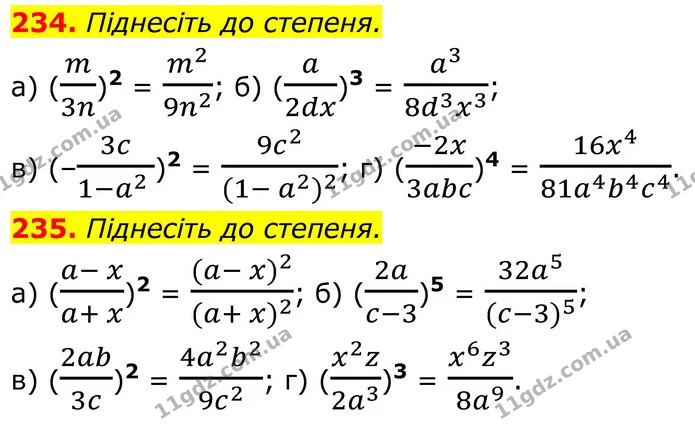 234. Піднесіть до степеня. — ГДЗ Алгебра 8 клас Бевз