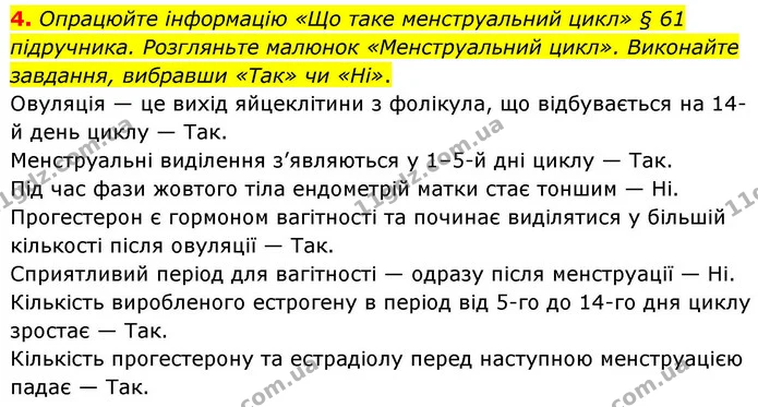 4. Опрацюйте інформацію «Що таке менструальний цикл» § 61 підручника. Розгляньте малюнок «Менструальний цикл». Виконайте завдання — ГДЗ Робочий зошит Біологія 8 клас Кулініч