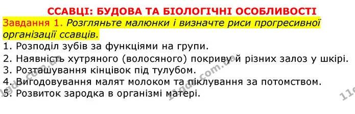 Стор. 54 — 1 (2) — ГДЗ Робочий зошит з Біології 7 клас Яременко — ГДЗ Робочий зошит з Біології 7 клас Яременко