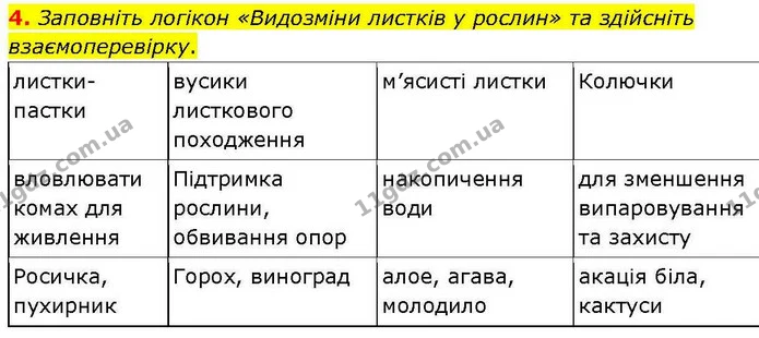 4. Заповніть логікон «Видозміни листків у рослин» та здійсніть взаємоперевірку. — ГДЗ робочий зошит Біологія 7 клас Кулініч