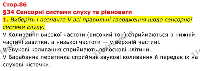 1. Виберіть і позначте V всі правильні твердження щодо сенсорної системи слуху. — ГДЗ Робочий зошит Біологія 8 клас Тагліна (2025)