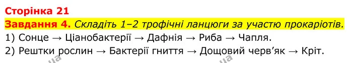 4. Складіть 1–2 трофічні ланцюги за участю прокаріотів. — ГДЗ Робочий зошит Біологія 7 клас Мирна 2024