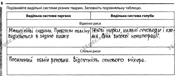 Стор. 39 — 8 — ГДЗ Робочий зошит Біологія 7 клас Задорожний — ГДЗ Робочий зошит Біологія 7 клас Задорожний