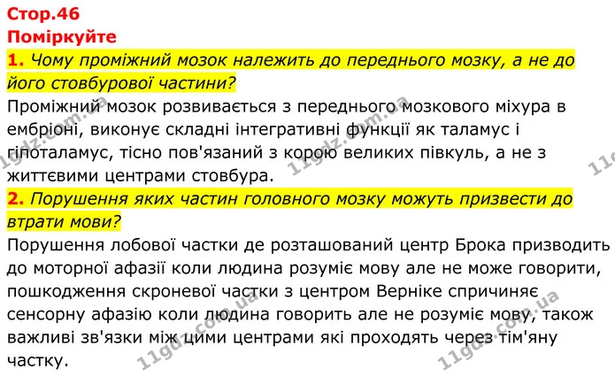 1. Чому проміжний мозок належить до переднього мозку, а не до його стовбурової частини? — ГДЗ Біологія 8 клас Балан