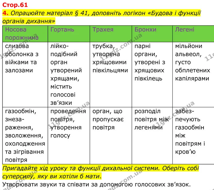 4. Опрацюйте матеріал § 41, доповніть логікон «Будова і функції органів дихання» — ГДЗ Робочий зошит Біологія 8 клас Кулініч