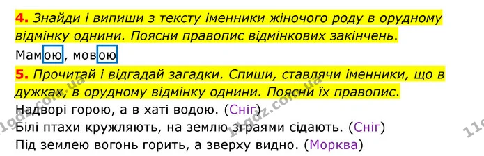4. Знайди і випиши з тексту іменники жіночого роду в орудному відмінку однини. Поясни правопис відмінкових закінчень. — ГДЗ Українська мова 4 клас Чабайовська