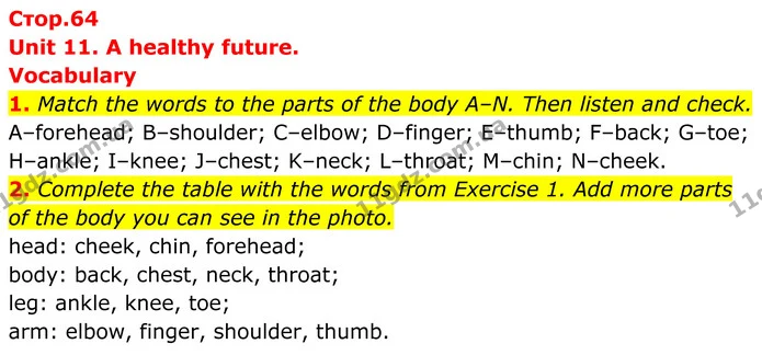 1. Match the words to the parts of the body A–N. Then listen and check. — ГДЗ Англійська мова 8 клас Стайрінг (Prepare)