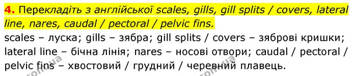 4. Перекладіть з англійської scales, gills, gill splits / covers, lateral line, nares, caudal / pectoral / pelvic fins. — ГДЗ Біологія 7 клас Тагліна