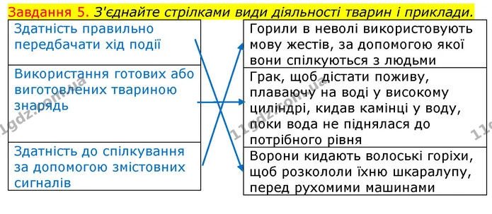 Стор. 93 — 5 — ГДЗ Робочий зошит з Біології 7 клас Яременко — ГДЗ Робочий зошит з Біології 7 клас Яременко