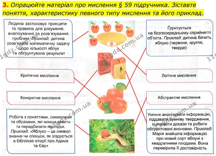3. Опрацюйте матеріал про мислення § 59 підручника. Зіставте поняття, характеристику певного типу мислення та його приклад. — ГДЗ Робочий зошит Біологія 8 клас Кулініч