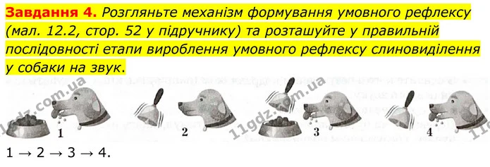 Стор. 27 — 4 — ГДЗ Робочий зошит біологія 8 клас Мирна — ГДЗ Робочий зошит біологія 8 клас Мирна