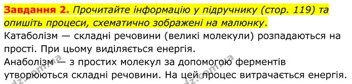 Стор. 60 — 2 — ГДЗ Робочий зошит біологія 8 клас Мирна — ГДЗ Робочий зошит біологія 8 клас Мирна