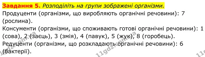 5. Розподіліть на групи зображені організми. — ГДЗ Робочий зошит Біологія 7 клас Мирна 2024