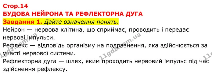 Стор. 14 — 1 — ГДЗ робочий зошит Біологія 8 клас Андерсон — ГДЗ робочий зошит Біологія 8 клас Андерсон