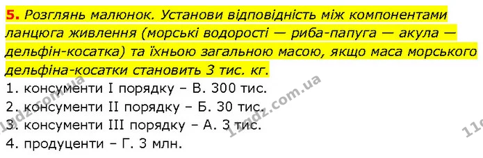 5. Розглянь малюнок. Установи відповідність між компонентами ланцюга живлення (морські водорості — риба–папуга — акула — — ГДЗ робочий зошит Біологія 7 клас Тагліна