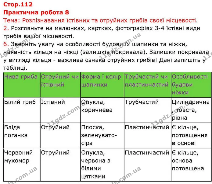 Пр.8 (1) — ГДЗ робочий зошит Біологія 7 клас Кулініч — ГДЗ робочий зошит Біологія 7 клас Кулініч