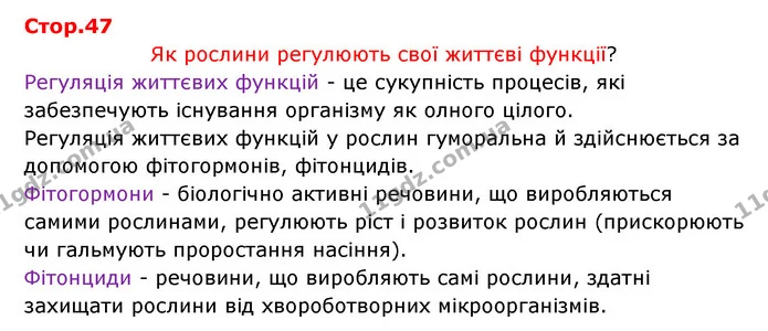 Стор. 47 — 1 — ГДЗ Робочий зошит Біологія 6 клас Соболь — ГДЗ Робочий зошит Біологія 6 клас Соболь