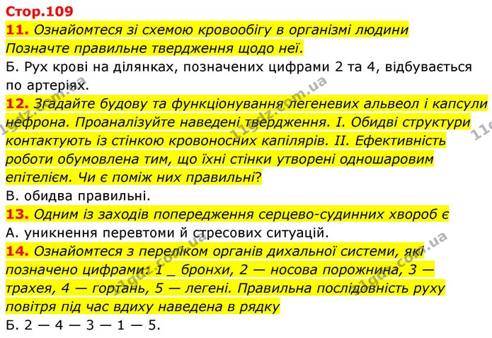 11. Ознайомтеся зі схемою кровообігу в організмі людини — ГДЗ робочий зошит Біологія 8 клас Андерсон