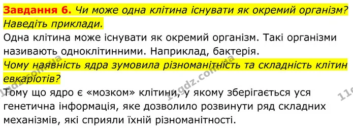 6. Чи може одна клітина існувати як окремий організм? Наведіть приклади. — ГДЗ Робочий зошит Біологія 7 клас Мирна 2024