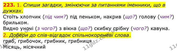 223. 1. Спиши загадки, змінюючи за питаннями іменники, що в дужках. — ГДЗ Українська мова та читання 3 клас Коваленко (1 частина)