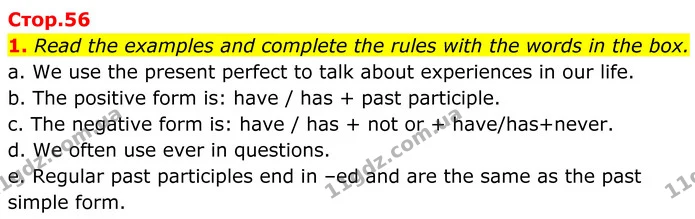 1. Read the examples and complete the rules with the words in the box. — ГДЗ Англійська мова 8 клас Стайрінг (Prepare)