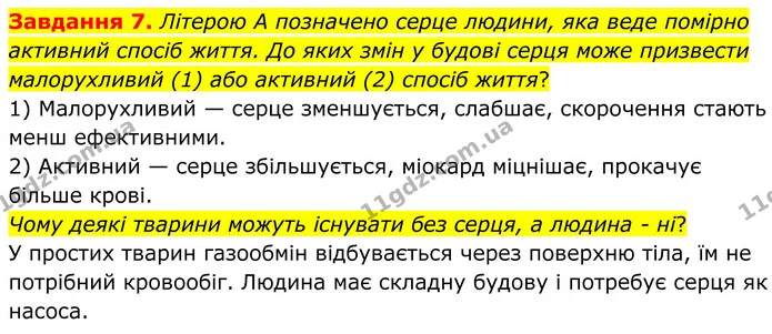Стор. 73 — 7 — ГДЗ Робочий зошит біологія 8 клас Мирна — ГДЗ Робочий зошит біологія 8 клас Мирна