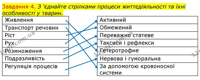 Стор. 10 — 4 — ГДЗ Робочий зошит з Біології 7 клас Яременко — ГДЗ Робочий зошит з Біології 7 клас Яременко