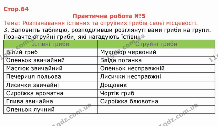 Стор. 64 — 1 — ГДЗ Робочий зошит Біологія 6 клас Мечник — ГДЗ Робочий зошит Біологія 6 клас Мечник