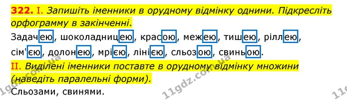 322. І. Запишіть іменники в орудному відмінку однини. Підкресліть орфограмму в закінченні. — ГДЗ Українська мова 6 клас Заболотний 2023