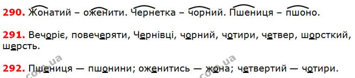 290-292 — ГДЗ Українська мова 5 клас Глазова 2018 — ГДЗ Українська мова 5 клас Глазова 2018