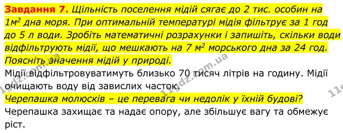 7. Щільність поселення мідій сягає до 2 тис. особин на 1м2 дна моря. При оптимальній температурі мідія фільтрує за 1 год до 5 л води — ГДЗ Робочий зошит Біологія 7 клас Мирна 2024