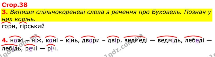 Стор. 38 — 3-4 — ГДЗ Українська мова 3 клас Пономарьова 2020 — ГДЗ Українська мова 3 клас Пономарьова 2020