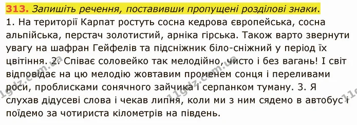 313. І. Прочитайте словосполучення. Визначте вид за способом вираження головного слова. Підкресліть ті, що викликають у вас позитивні — ГДЗ Українська мова 5 клас Голуб