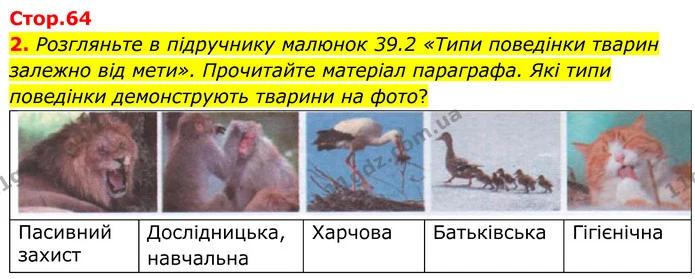 2. Розгляньте в підручнику малюнок 39.2 «Типи поведінки тварин залежно від мети». Прочитайте матеріал параграфа. Які типи поведінки — ГДЗ робочий зошит Біологія 7 клас Кулініч