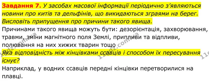 7. У засобах масової інформації періодично з’являються новини про китів та дельфінів, що викидаються зграями на берег. Висловіть — ГДЗ Робочий зошит Біологія 7 клас Мирна 2024