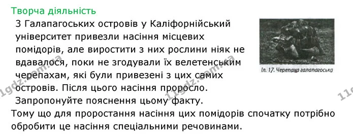 Стор. 61 — 4 — ГДЗ Робочий зошит Біологія 6 клас Соболь — ГДЗ Робочий зошит Біологія 6 клас Соболь
