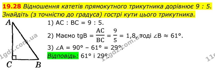 19.28 Відношення катетів прямокутного трикутника дорівнює 9 : 5. Знайдіть (з точністю до градуса) гострі кути цього трикутника. — ГДЗ Геометрія 8 клас Істер