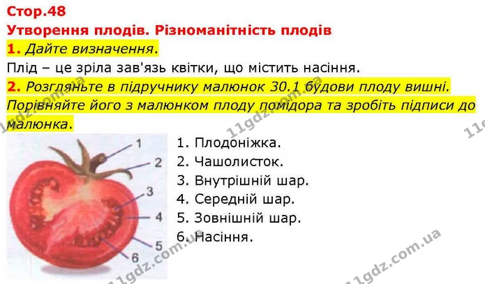 1. Дайте визначення. — ГДЗ робочий зошит Біологія 7 клас Кулініч