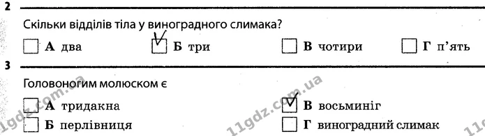 2. Скільки відділів тіла у виноградного слимака? Б (три) — ГДЗ Робочий зошит Біологія 7 клас Задорожний
