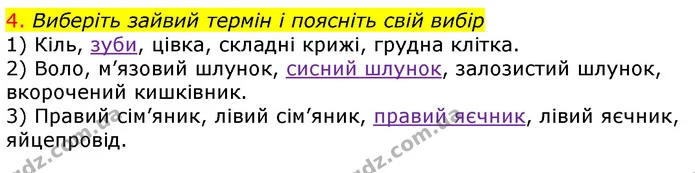 4. Виберіть зайвий термін і поясніть свій вибір — ГДЗ Робочий зошит з Біології 7 клас Яременко