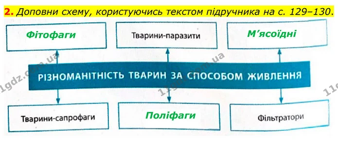 2. Доповни схему, користуючись текстом підручника на с. 129–130. — ГДЗ робочий зошит Біологія 7 клас Тагліна