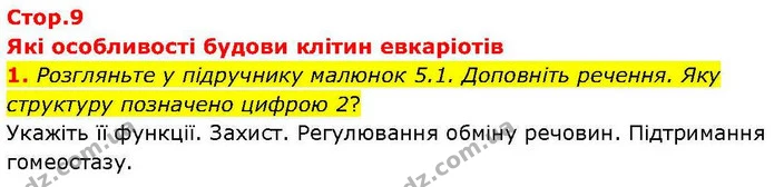 1. Розгляньте у підручнику малюнок 5.1. Доповніть речення. Яку структуру позначено цифрою 2? — ГДЗ робочий зошит Біологія 7 клас Кулініч