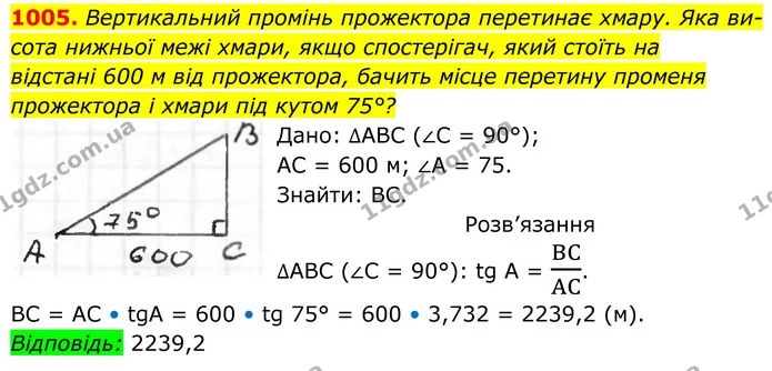 1005. Вертикальний промінь прожектора перетинає хмару. Яка висота нижньої межі хмари, якщо спостерігач, який стоїть на відстані 600 м — ГДЗ Геометрія 8 клас Бурда