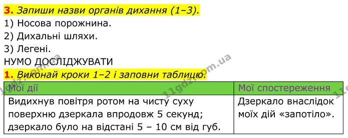 2. Виконай завдання 1 на с. 206. — ГДЗ робочий зошит Пізнаємо природу 5 клас Коршевнюк