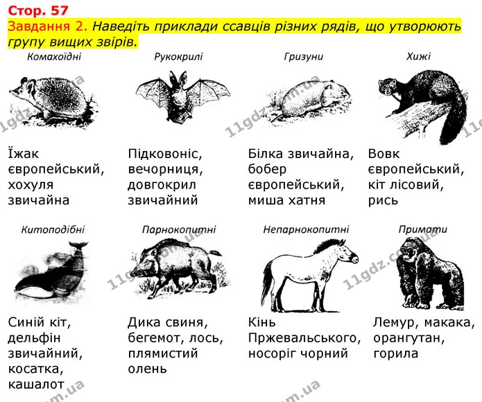 Стор. 57 — 2 — ГДЗ Робочий зошит з Біології 7 клас Яременко — ГДЗ Робочий зошит з Біології 7 клас Яременко