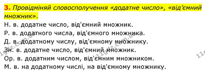3. Провідміняй словосполучення «додатне число», «від’ємний множник». — ГДЗ Математика 6 клас Бевз 1-2 ч.