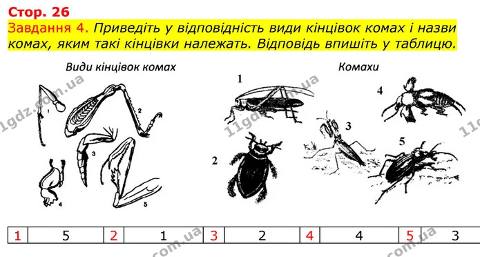 Стор. 26 — 4 — ГДЗ Робочий зошит з Біології 7 клас Яременко — ГДЗ Робочий зошит з Біології 7 клас Яременко