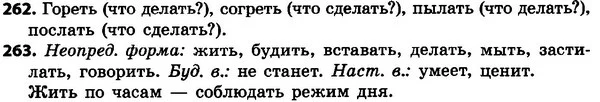 262-263 — ГДЗ Русский язык 4 класс Сильнова, Каневская 2015